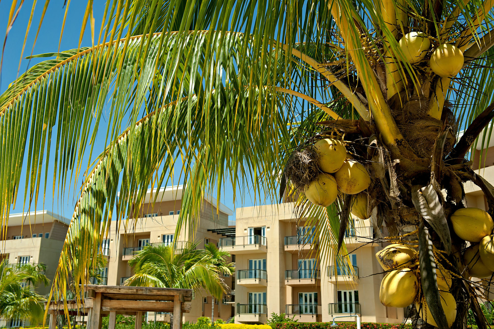 רסטרפו Wyndham Garden Villavicencio Rnt 26993 מראה חיצוני תמונה